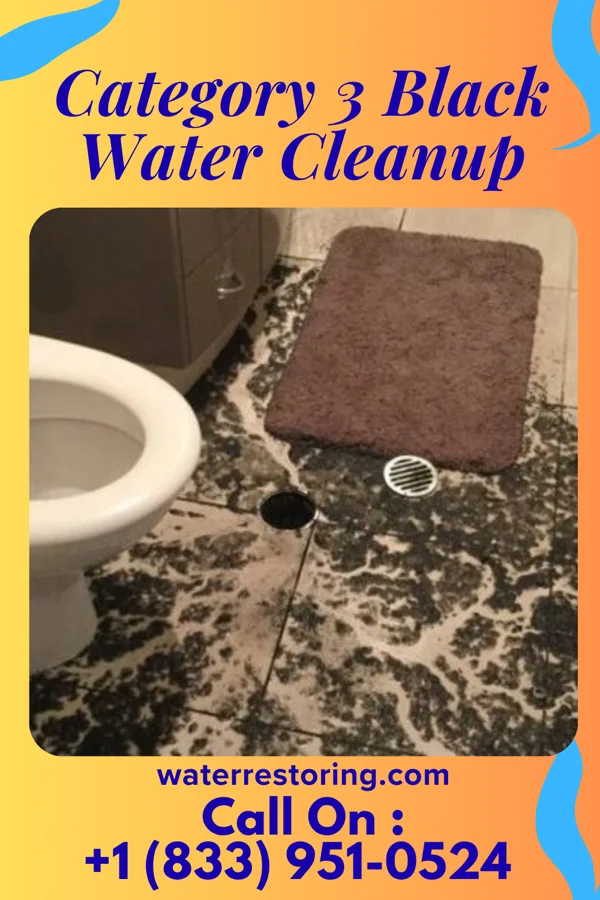 Category 3 Black Water Cleanup in Lakehurst, NJ