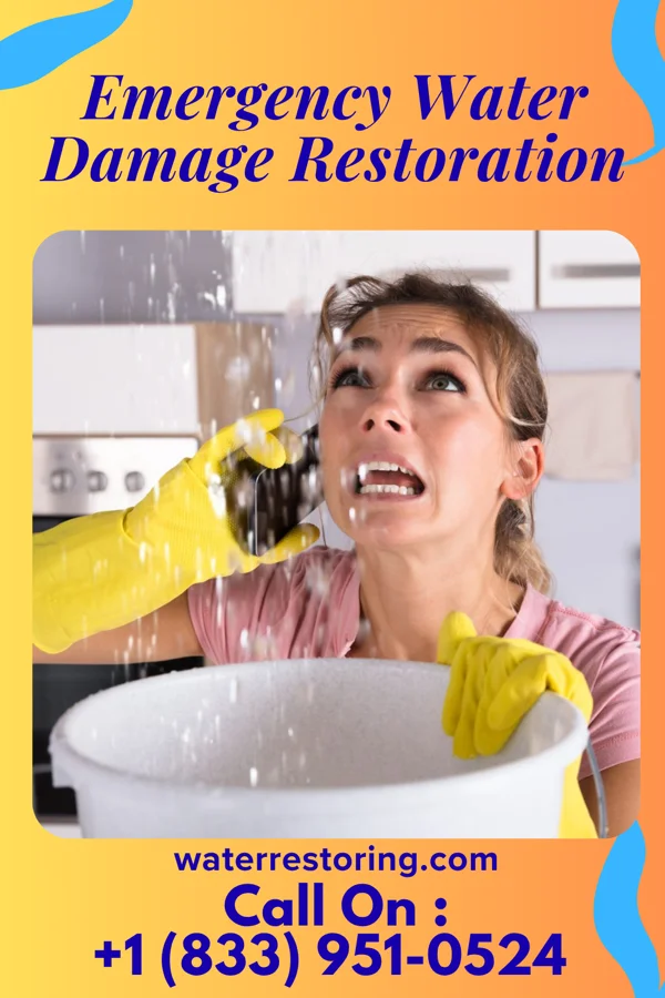 Emergency Water Damage Restoration in Lakehurst, NJ