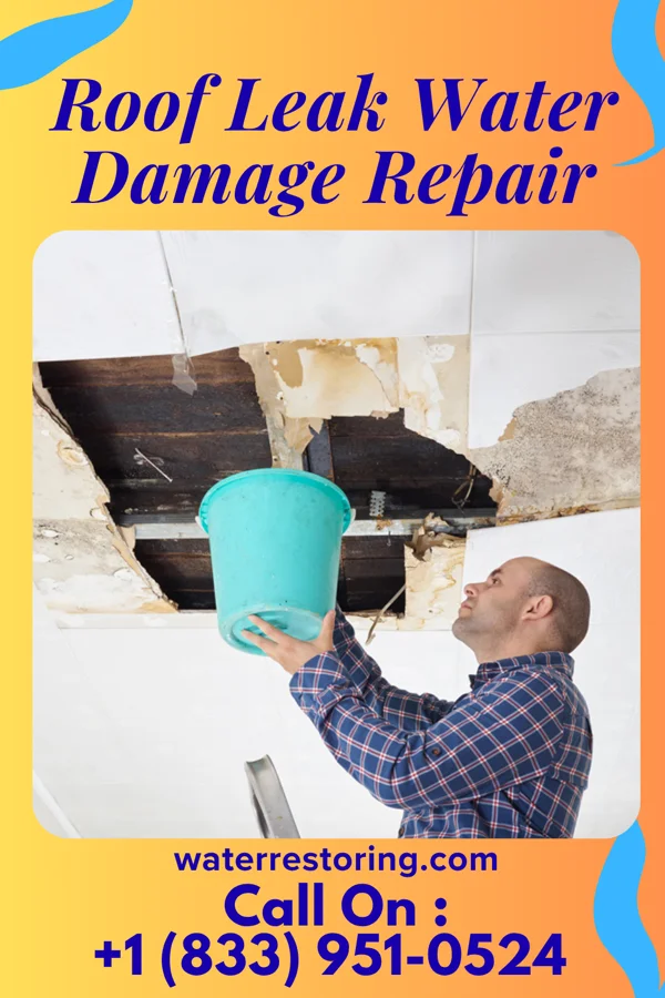 Roof Leak Water Damage Repair in Lakehurst, NJ