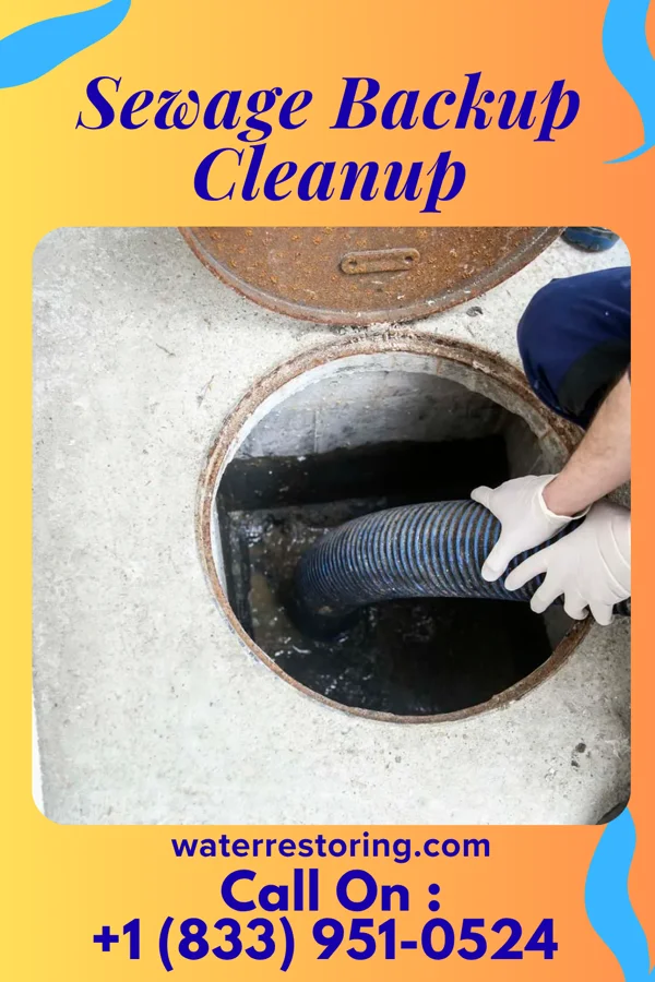 Sewage Backup Cleanup in Lakehurst, NJ