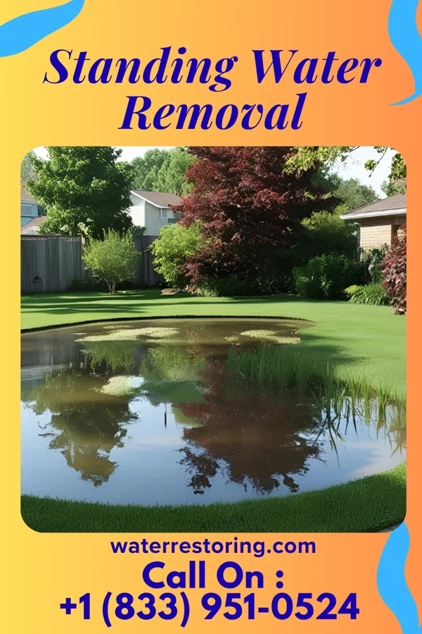 Standing Water Removal in Lakehurst, NJ